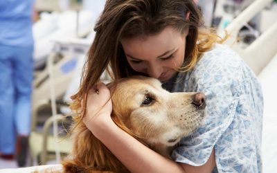 Incorporating Animal Assisted Therapy Into Nursing Care