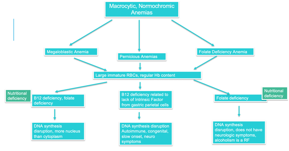 Understanding The Types Of Anemia Nursing Ceu Nursing Ce Central 