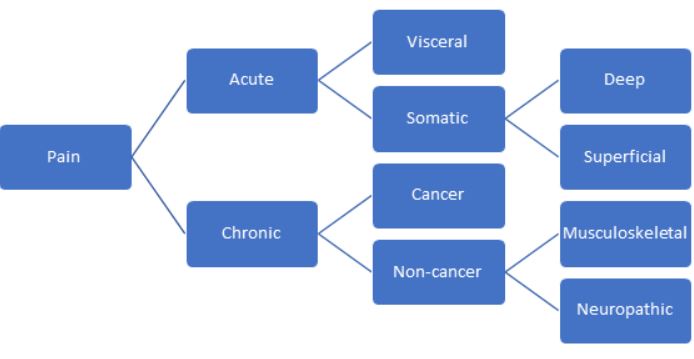 Flowchart describing the different types of pain based on location and duration. to be used to determine nursing interventions for acute pain.