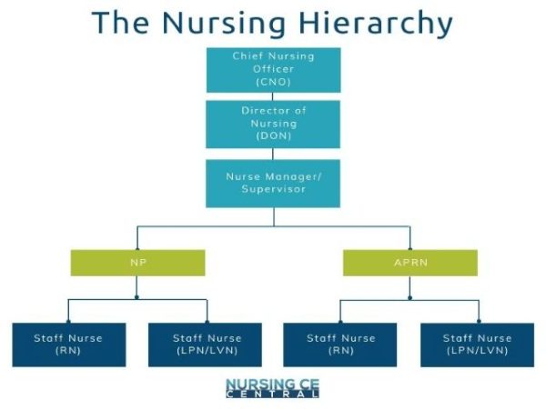 Understanding the Nursing Hierarchy: Where Do You Stand?