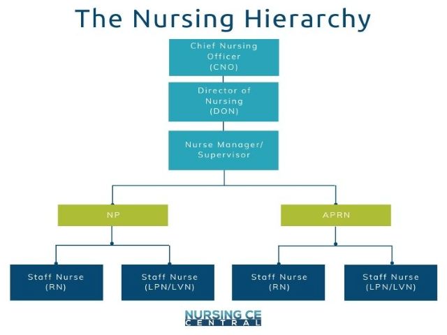 nursing hierarchy graph