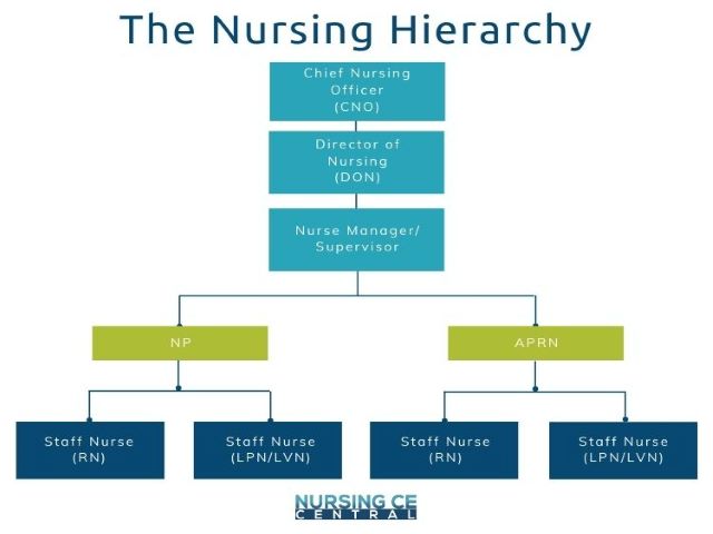 Understanding The Nursing Hierarchy Where Do You Stand 1724