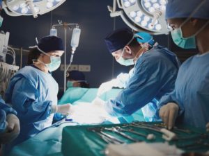 transplant nurse role