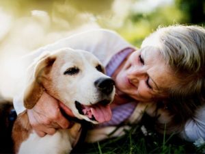 companion animals for loneliness