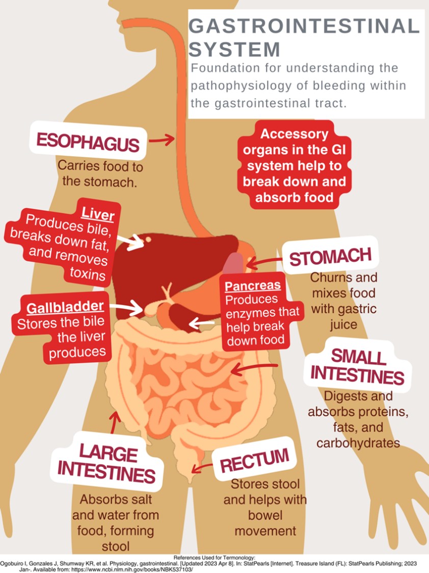 gi-bleed-an-introduction-nursing-ce-central