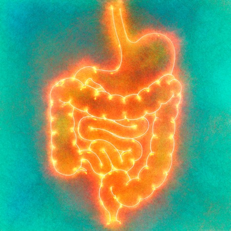 Bariatric Surgery: Post-Op Considerations