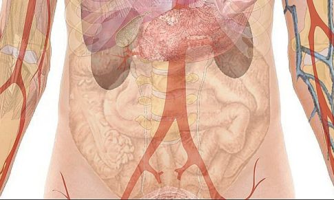 Chronic Kidney Disease in the Sickle Cell Patient