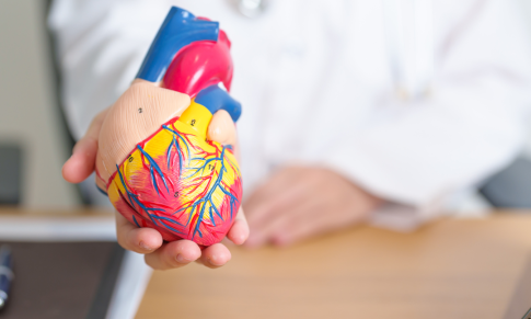 Heart Disease in Women