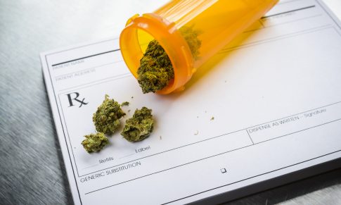 Medical Cannabis in Epilepsy Treatment
