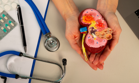 Kidney Transplant: Procedure and Aftercare