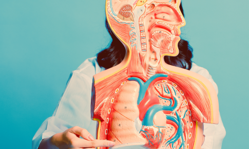 An Overview of Pulmonary Hypertension