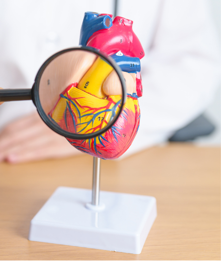 Carotid Endarterectomy