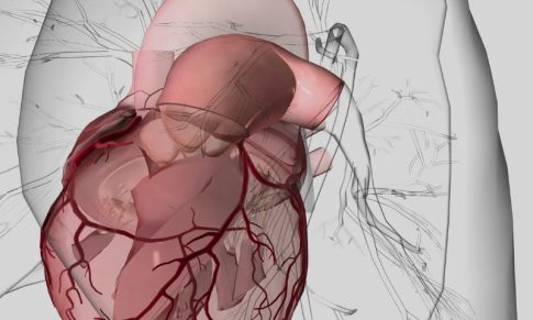 Myocarditis Review