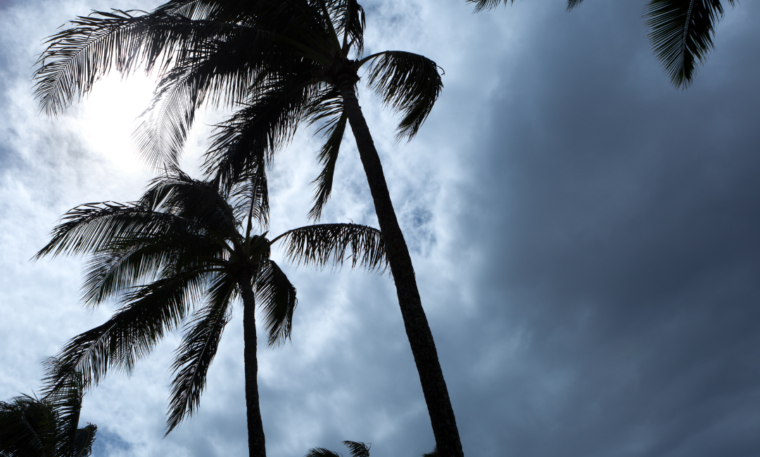 Hurricane Prep List for Nurses