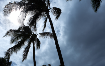 Hurricane Prep List for Nurses