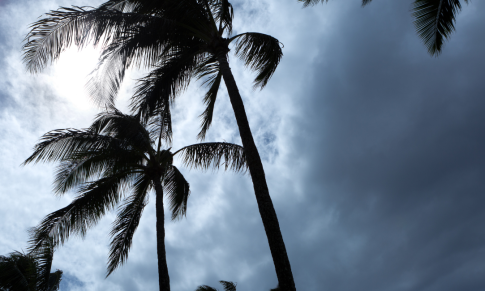 Hurricane Prep List for Nurses