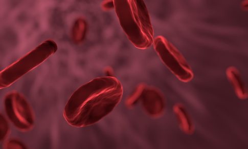 Leukemia Review