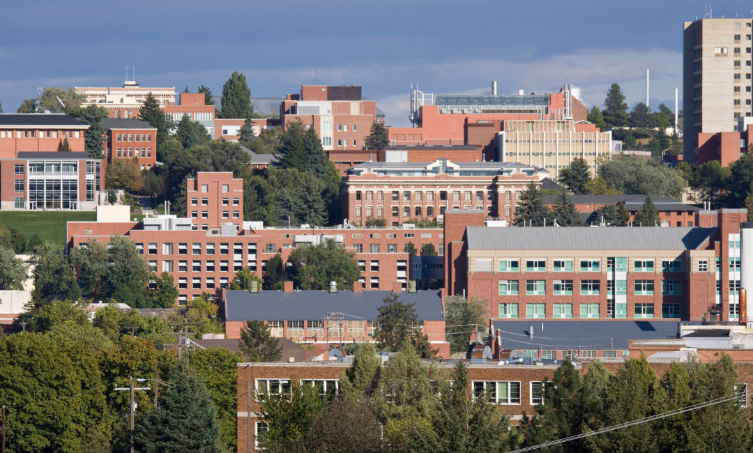 Washington State University Revives, Revamps Master of Nursing Program